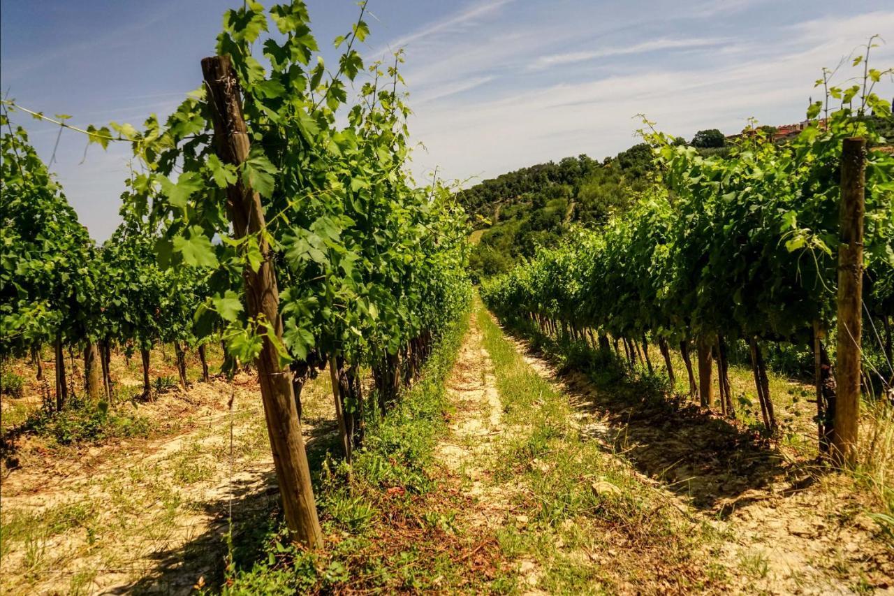 Tenuta Sant'ilario * Gambassi Terme